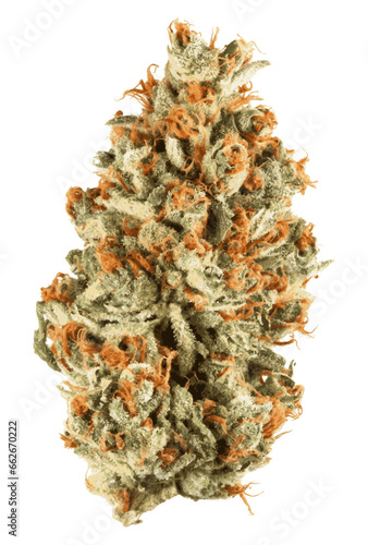 Vector Marijuana Cannabis Bud