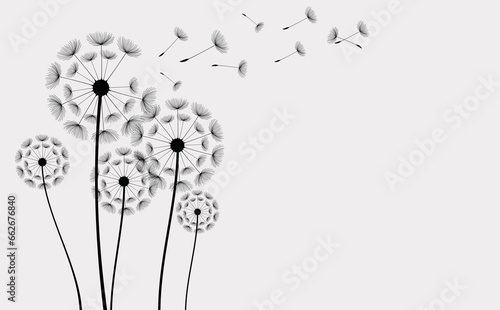 Silhouette of a dandelion with flying seeds. Vector illustration of a flower