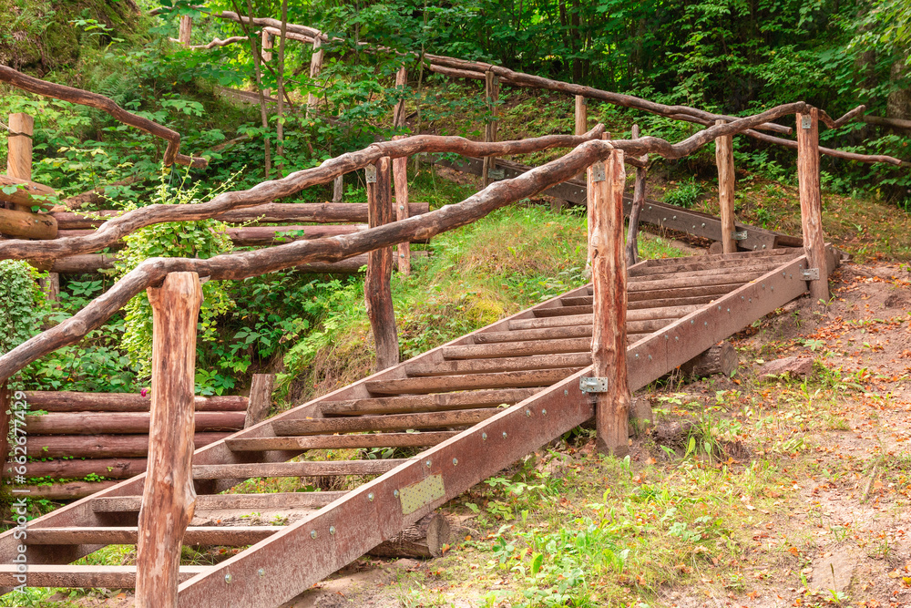 natural wooden stairs in the middle of the forest with railings natural wooden stairs in the middle of the forest with railings