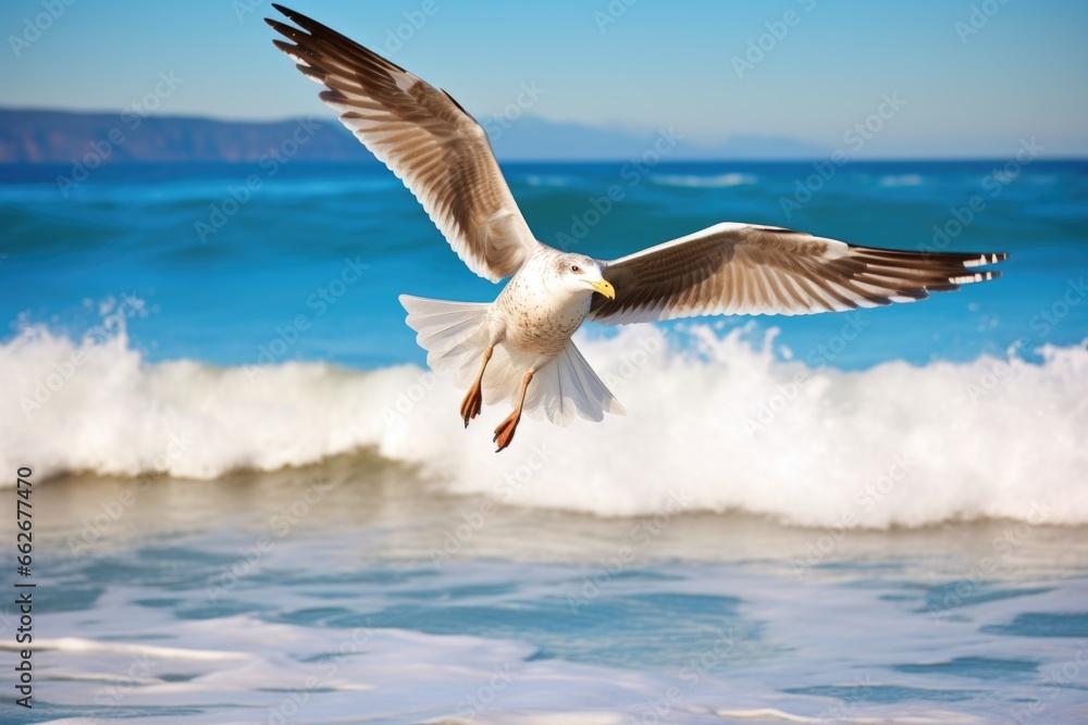 a seagull soaring above the ocean waves a seagull soaring above the ocean waves