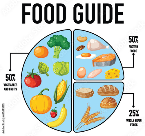Fototapeta Naklejka Na Ścianę i Meble -  Macronutrient Food Guide in Vector Illustration