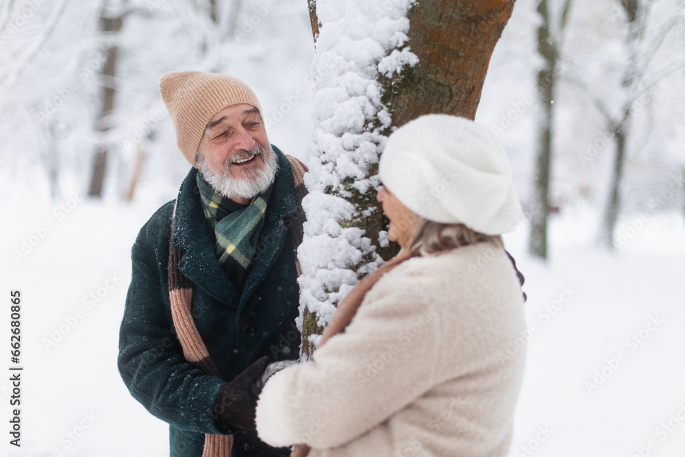 Elegant senior couple standing by a tree in the snowy park, during cold winter snowy day. Elderly couple spending winter vacation in the mountains. Wintry landscape. Elegant senior couple standing by a tree in the snowy park, during cold winter snowy day. Elderly couple spending winter vacation in the mountains. Wintry landscape.