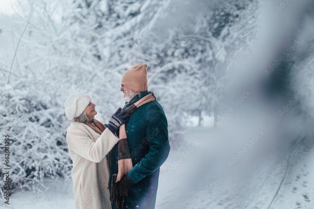 Elegant senior couple walking in the snowy park, during cold winter snowy day. Elderly woman fasten husband's winter coat. Wintry landscape.