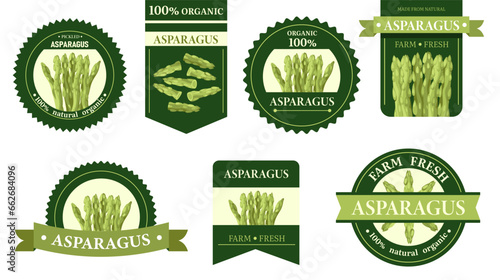 Asparagus label. Organic asparagus product sticker, vegetarian food symbols for packaging design, farm market concept. Vector flat set