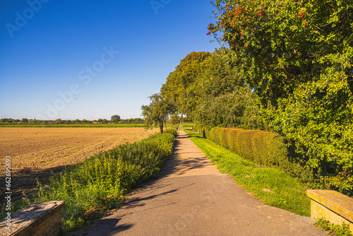 Ein Weg mit Feldern und Bäumen bei Sonnenschein.