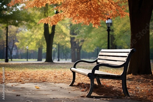 a wood and metal bench overlooking a quiet park