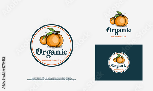 Vintage Organic Orange fruit Logo designs template, Hand Drawn Orange logo badge vector