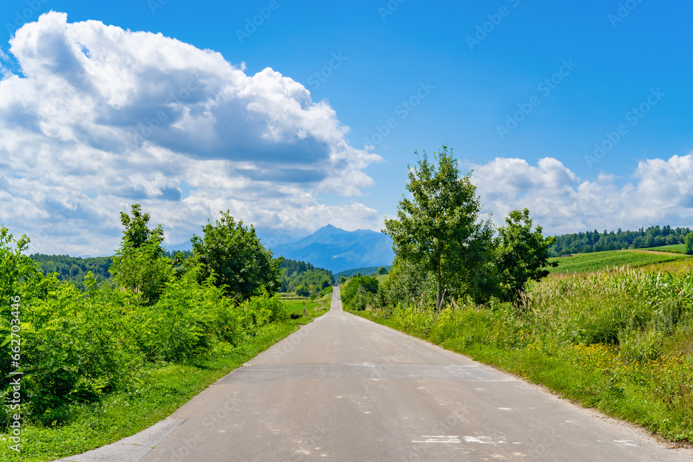 Fototapeta premium 夏の北海道美瑛・富良野 かみふらの八景 パノラマロード江花