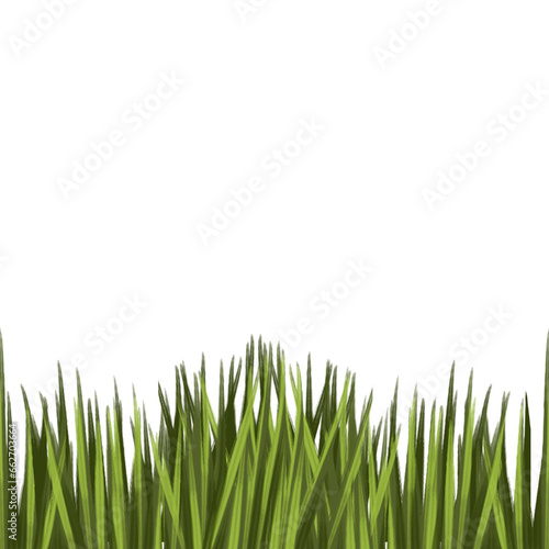 Illustration of organic fresh green grass for decoration