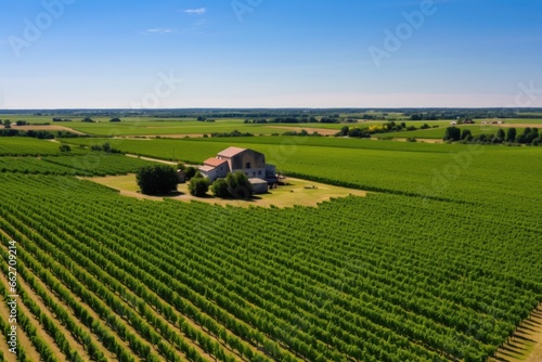 expansive vineyard with a giant for sale balloon marking it