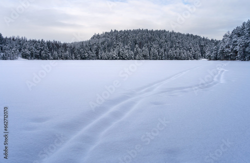 Blue calm winter landscape of a frozen lake in Repovesi National Park, Finland. © OKemppainen
