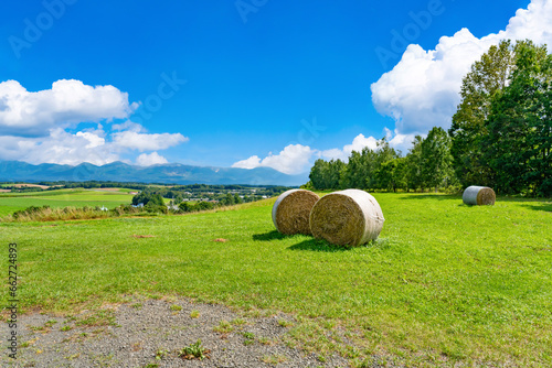 夏の北海道美瑛・富良野