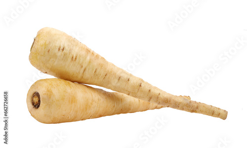 Fotografie fresh parsnip roots on  transparent png