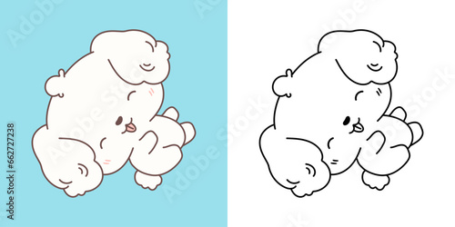 Set Vector Bichon Frise Dog Multicolored and Black and White. Kawaii Clip Art Puppy. photo