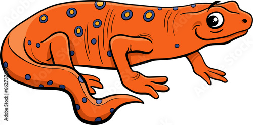 newt salamander animal character cartoon illustration photo