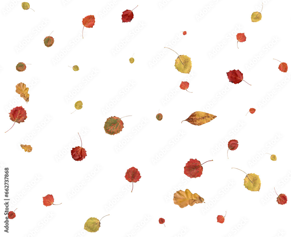 Bright autumn digital paper. Bright autumn digital paper.