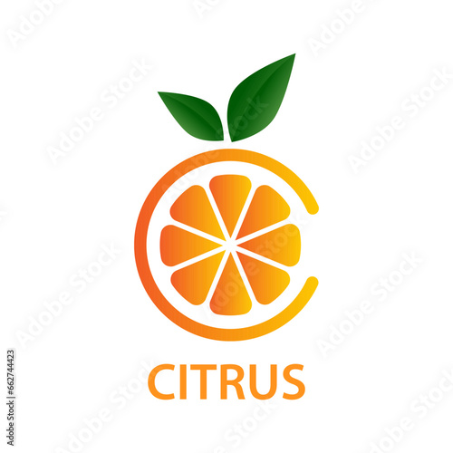 The concept of vitamin C, citrus fruits, healthy. Natural vitamin. Vector illustration, abstract slice of orange in the form of the letter C. Can be used for a logo, icon, on web pages.