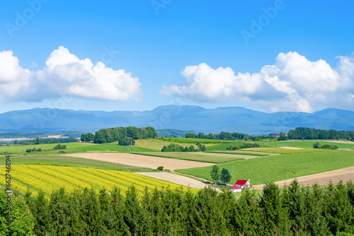 夏の北海道美瑛・富良野