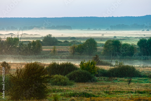 Foto Fog over a meadow in a river valley with trees and bushes