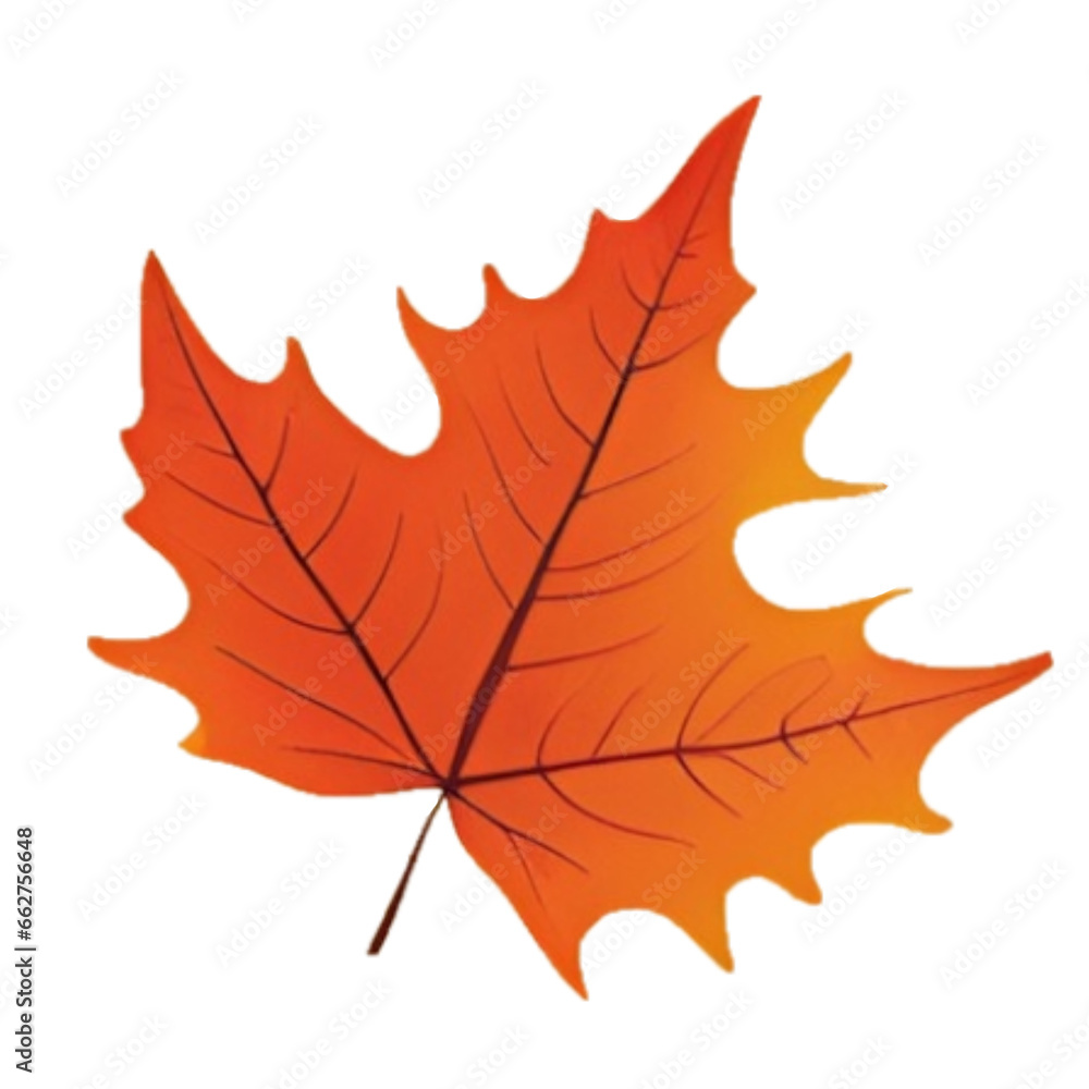 Fototapeta premium Autumn Leaf