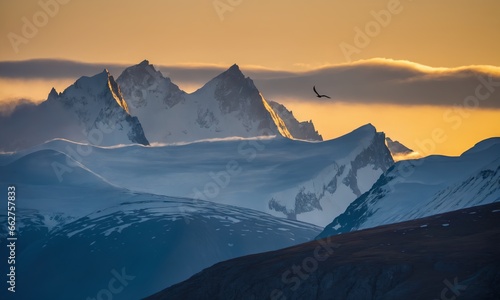 Sea bird flying over the silhouetted mountains with the golden light