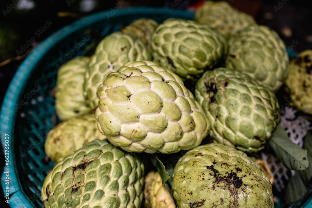Obraz premium Close up group of fresh organic green Custard apple tropical fruit (Sugar Apple, Annona, sweetsop), Fresh sweet nutrition fruits.