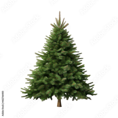 Undecorated Christmas tree isolated in transparent white background © RMedia