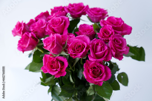 Close-up of bunch of pink roses indoors with defocused white background. Photo taken October 16th, 2023, Zurich, Switzerland. © Michael Derrer Fuchs