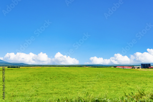 夏の北海道美瑛・富良野　牧場の牧草地