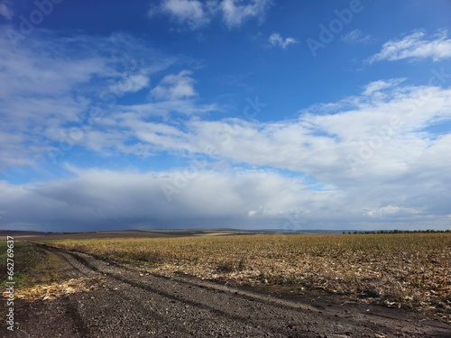 A dirt road through a field