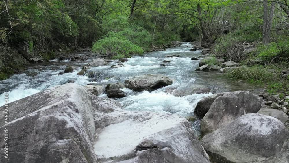 stream in the forest,water flowing over rocks,river flowing into the forest,waterfall in the forest stream in the forest,water flowing over rocks,river flowing into the forest,waterfall in the forest
