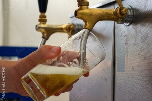 Person hält ein Glas und befüllt es mit Bier aus einer Zapfanlage