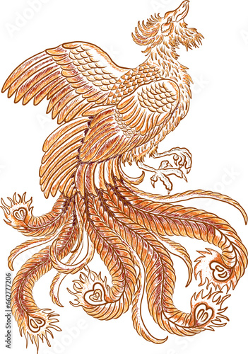 Beautiful line art of Phoenix for tattoo design on background.Phoenix vector for printing on shirt.Golden vector illustration for doodle art and coloring book on white isolated background.