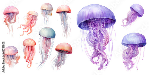 Jellyfish Watercolor Illustration clipart. Generative AI