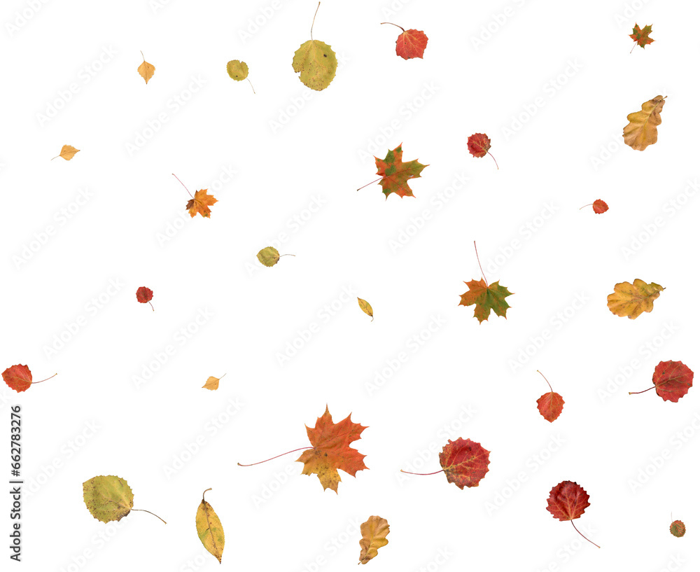 Luxury autumn backdrop. Luxury autumn backdrop.