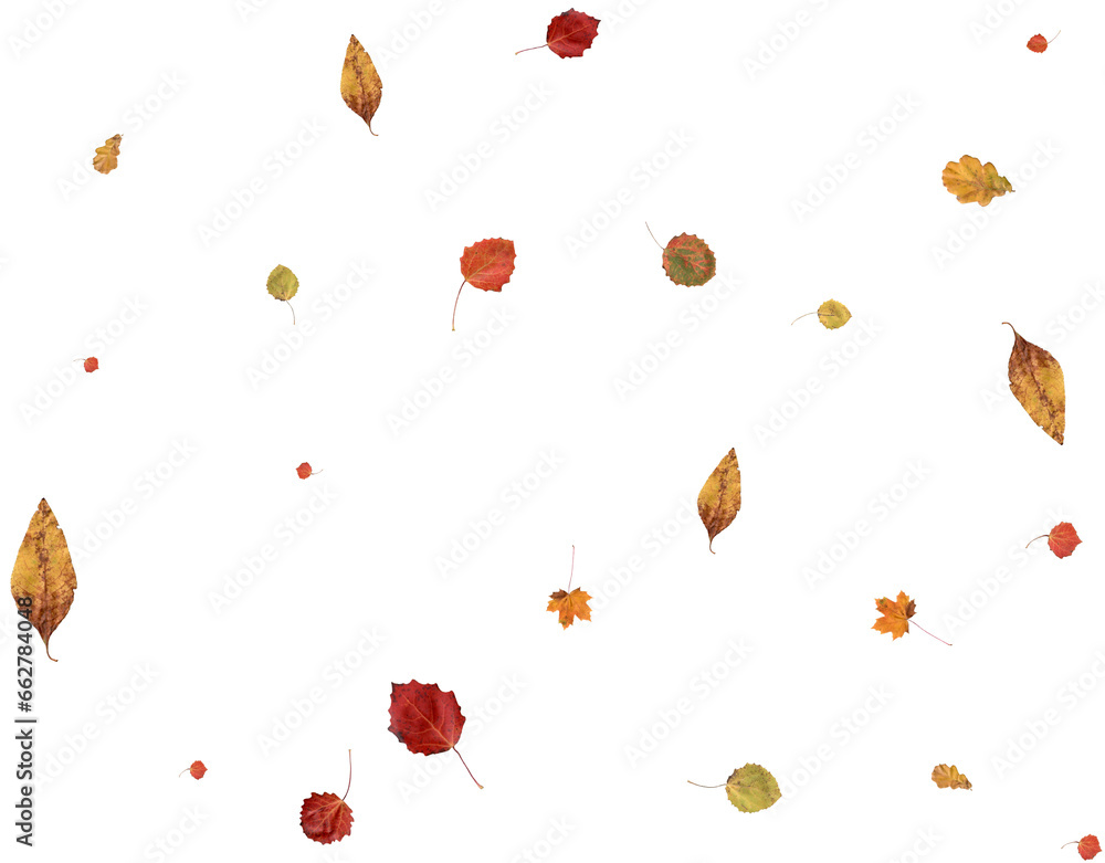 Luxury autumn background. Luxury autumn background.