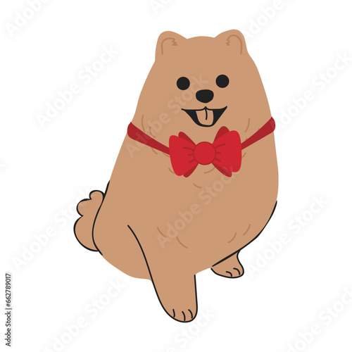 Christmas spitz in hand drawn style. Merry Christmas illustration of cute pet with accessory. Flat vector illustration isolated on white background
