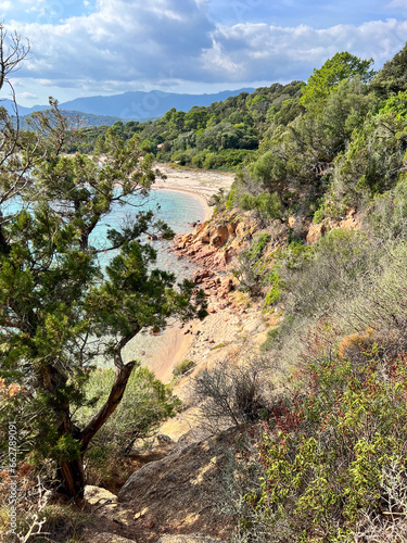 Bord de mer photo