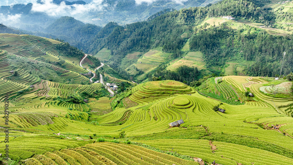 Rice terraces in mountain at Mu Cang Chai, Yen Bai, Viet Nam