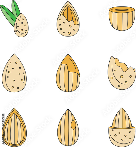 Almond walnut oil seed icons set. Outline illustration of 9 almond walnut oil seed vector icons thin line color flat on white