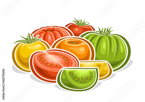Vector logo for Tomatoes, decorative horizontal poster with outline illustration of colorful tomato composition with leaves, cartoon design veggie print with raw various tomatoes on white background