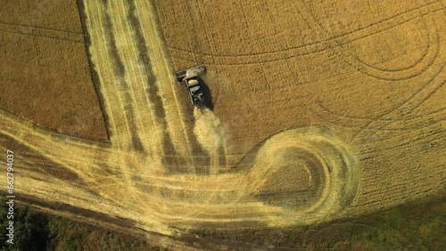 Top down view of a combine harvester working in a wheat field. The agricultural harvester machine harvests a field of golden ripe wheat and leaves beautiful fields behind it.