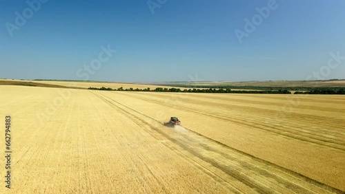 Top down view of a combine harvester working in a wheat field. The agricultural harvester machine harvests a field of golden ripe wheat and leaves beautiful fields behind it.