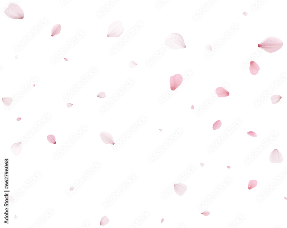 Realistic Sakura Petals.