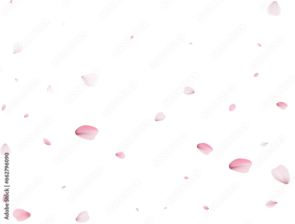 Realistic Sakura Petals.