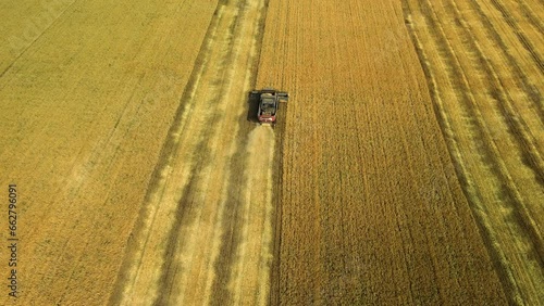 Top down view of a combine harvester working in a wheat field. The agricultural harvester machine harvests a field of golden ripe wheat and leaves beautiful fields behind it.