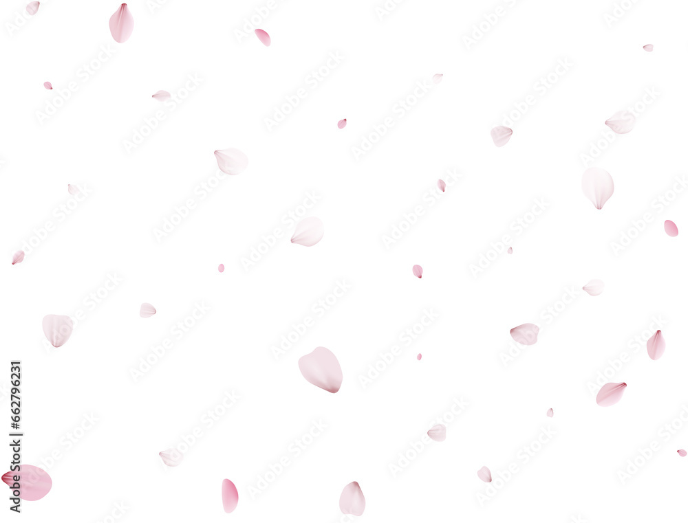 Realistic Sakura Petals. Realistic Sakura Petals.
