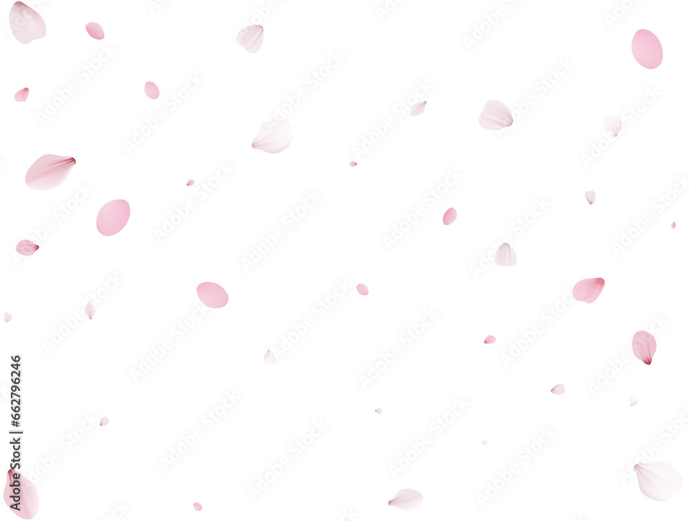 Realistic Sakura Petals.