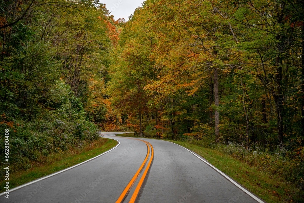 Fototapeta premium autumn