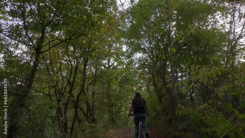 Alla ricerca dei Funghi Alla ricerca dei Funghi